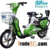 Electric bike TDRA11Z