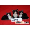synthetic fur sitting cat