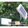 Small Solar Floodlight