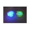 color changing toy-Rose