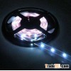 Single Color LED Tape