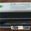 IPL Lamp