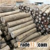 Best Price Engineered Waterproof Timber 50-150 Years Old Teak Wood Price