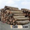Manufacturers Direct Sales Wholesale Timber Oil Content High Durable Authentic Teak Wood Logs