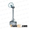 API 6D Extra Low-temperature Cryogenic NACE Extension Forged And Cast Ball Valve