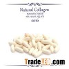 Collagen Capsule