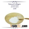 Fish Collagen