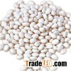 PA602 High Performance Flame Retardant Masterbatch (HXFR-PA602)