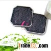 OEM ODM Air Purifier
