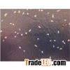 Custom Vinyl Flooring/Wear Resistant Flooring/Rubber Flooring Rolls/Rubber Floor Mats