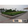 Special-shaped flower bed stone