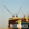 D160 Luffing Crane
