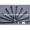 Roofing screw nail