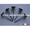 Roofing nail
