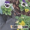 Agriculture Mulch Film Non Woven
