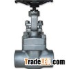 Forged Stainless Steel Gate Valve