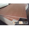 Bintangor Poplar Core Plywood For Furniture and Decorative