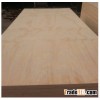 radiata pine plywood