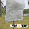 Plant Protection Non Woven