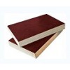 shuttering film faced plywood