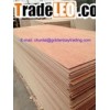 China plywood