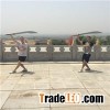 Yin Style Bagua Palm