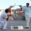 Cheng Style Bagua Palm