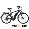 Big Sales 20-26Inch 36V 250W Electric Bike With Rear Rack