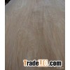 Rotary cut  Birch Veneer