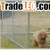 large outdoor  chain link dog kennel