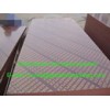 Plywood/Poplar Plywood/Hardwood Plywood/Film Faced Plywood/O