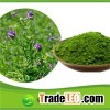 Pure Natural Alfalfa Powder
