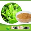 Organic Approved Natral Green Tea Extract Weight Loss