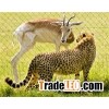 hot sale Zoo Mesh Netting supplier