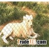 Wire Mesh,Zoo Mesh,SS Animal Enclosure Supplier