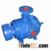 Internal Bearing Twin Screw Pump