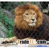 Zoo Mesh,Hot Sale Zoo Mesh,Wire Mesh Supplier