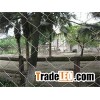 Metal Woven Wire Mesh supplier