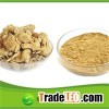 Professional Organic Supplement Of Maca Root Extract