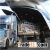 DDP For Air Freight