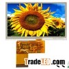 Landscape Type 4.3 Inch 480*272 TFT For Medical Instrument And White Goods