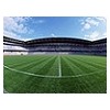 Soccer Football Artificial Grass Turf