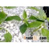 Horticultural Perlite
