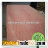 Commercial Bintangor Plywood