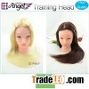 Training Head