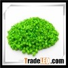 Green Masterbatch
