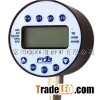 Pressure Gauge