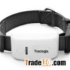 GPS Pet Tracker