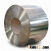 Galvanized Steel Coils