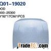 Accent 2000 Hood, Bonnet (66400-25300)